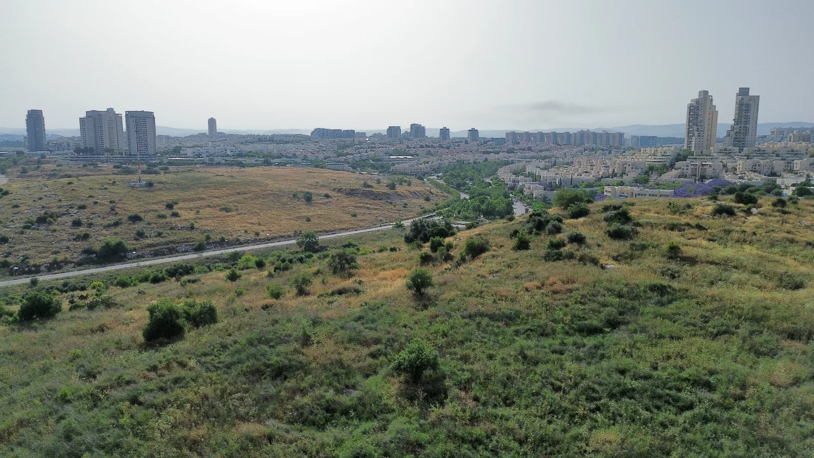 Barfilya